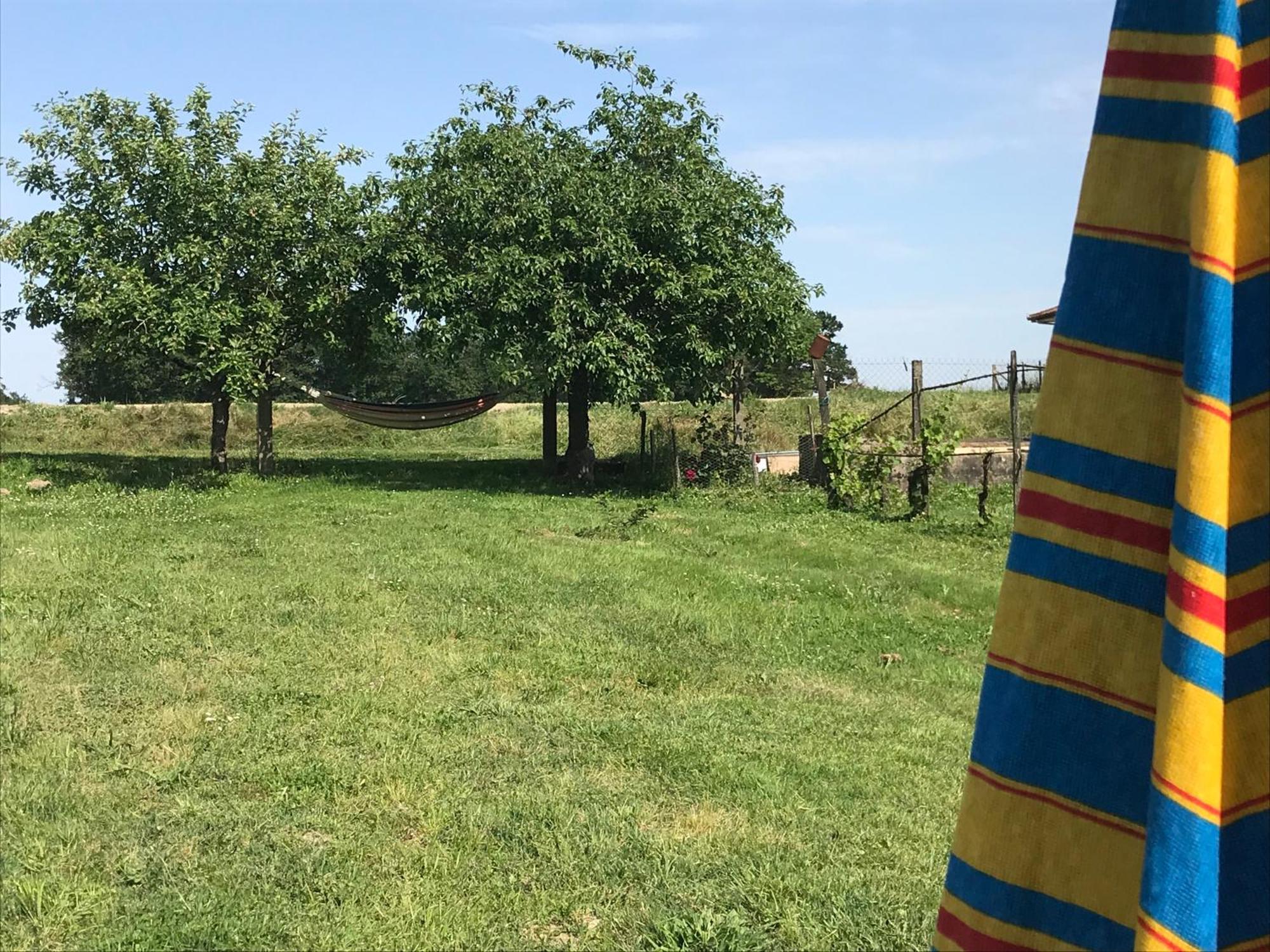 Séjour chez l'habitant Du Grand Hôte Bambou Et Musique Saint-Sever (Landes)